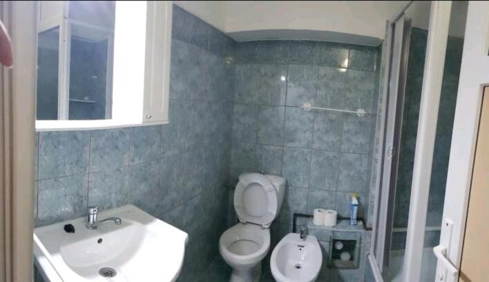 Down Town Timisoara Apartment Екстериор снимка